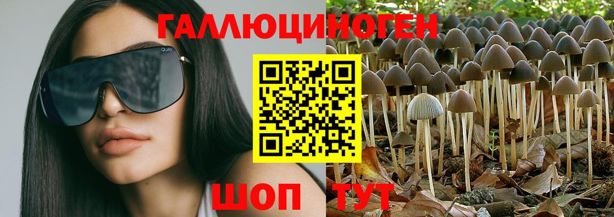 Псилоцибиновые грибы GOLDEN TEACHER  Галлюциногенные грибы прущие грибы  Донецк  Вход с VPN 